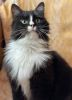 Margo (31)